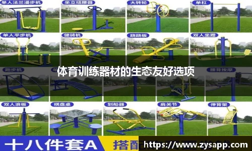 体育训练器材的生态友好选项